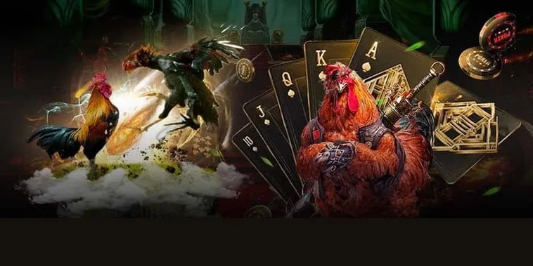 Cách Chơi Đá Gà 3D Tại BuBet Hấp Dẫn Nhất Cho Tân Thủ 1 Cách Chơi Đá Gà 3D Tại BuBet Hấp Dẫn Nhất Cho Tân Thủ