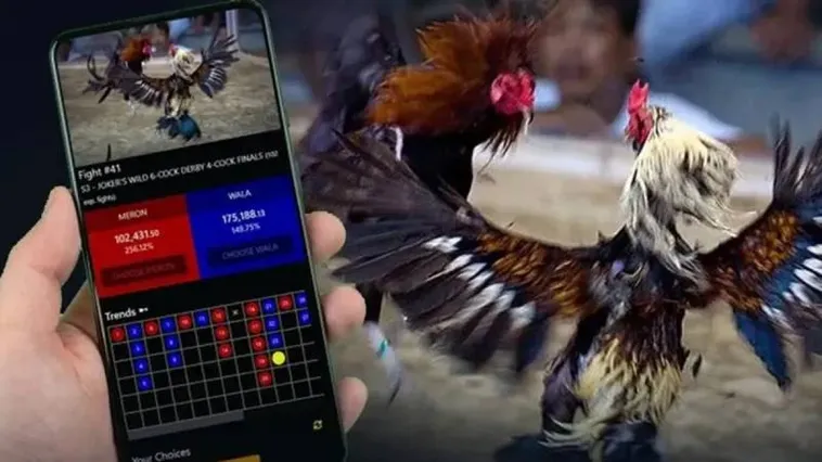 Đá Gà BuBet Hấp Dẫn Và Kịch Tính Cho Mọi Cược Thủ 1 Đá Gà BuBet Hấp Dẫn Và Kịch Tính Cho Mọi Cược Thủ